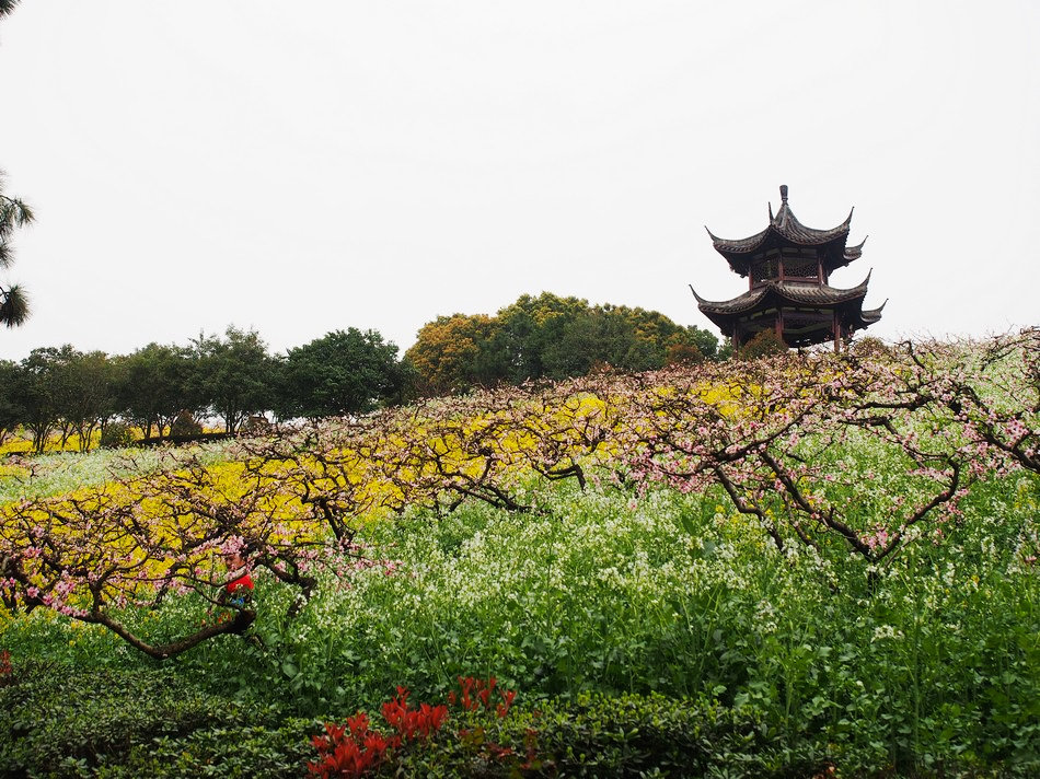 春染城山沟,人面桃花映山红_长兴城山沟游记_途牛