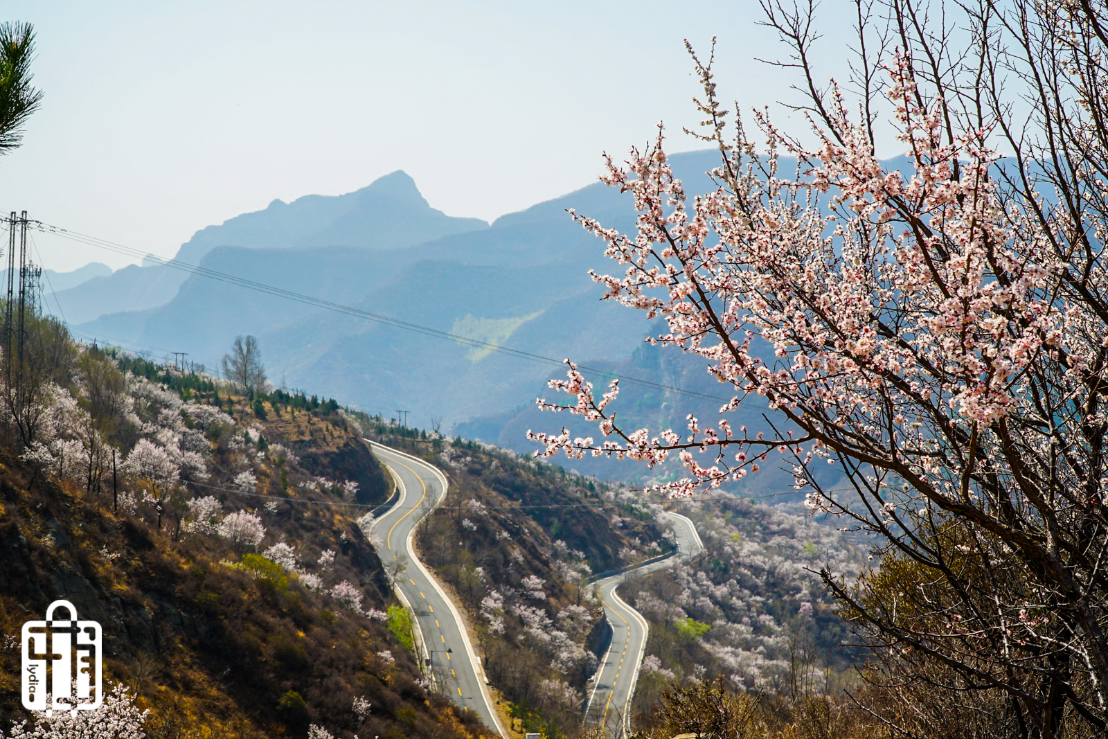 春日嬉游记梨花山海世外桃源北京房山大滩村