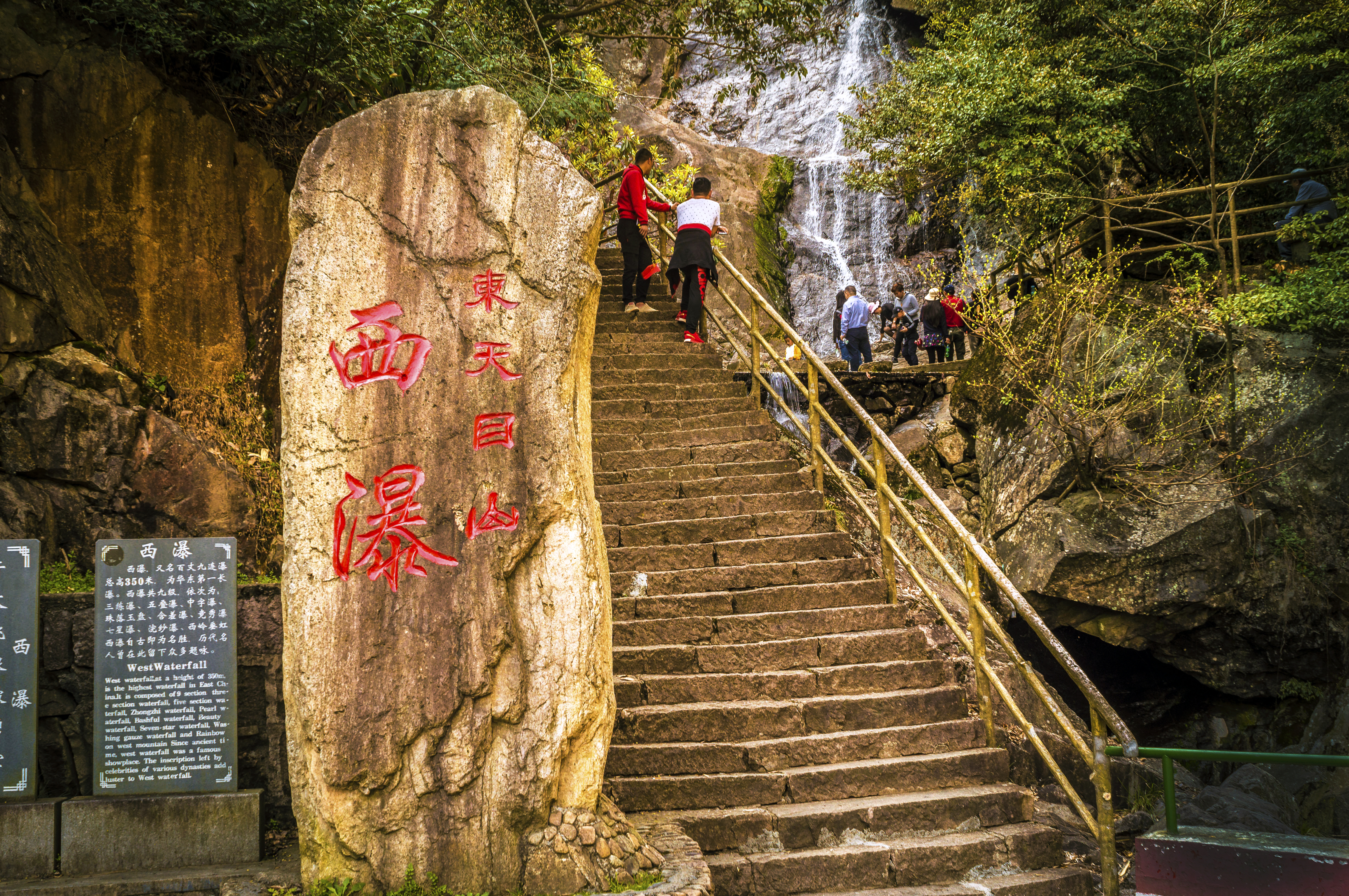 清明游临安东天目山