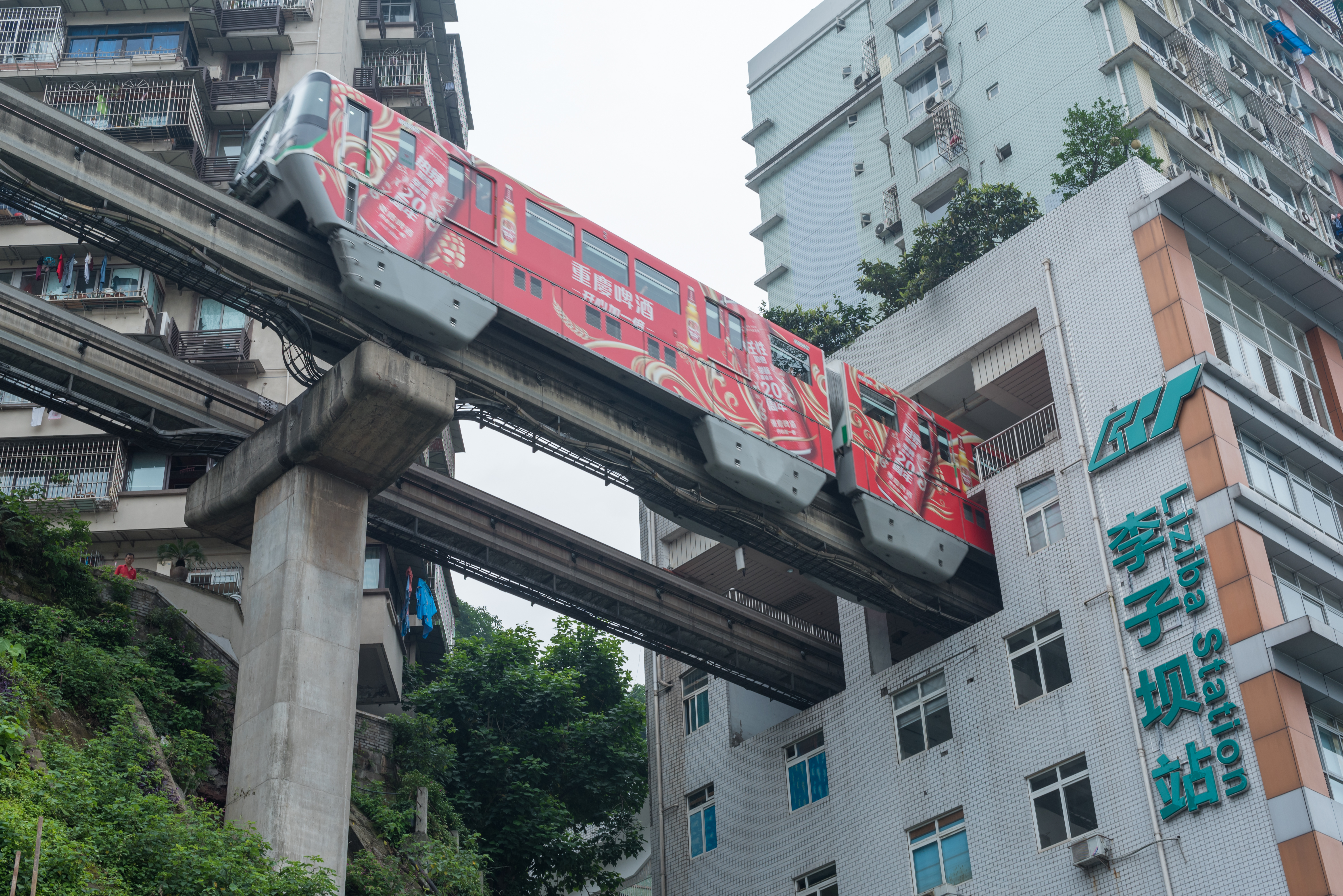 带爸妈游重庆|超实用攻略