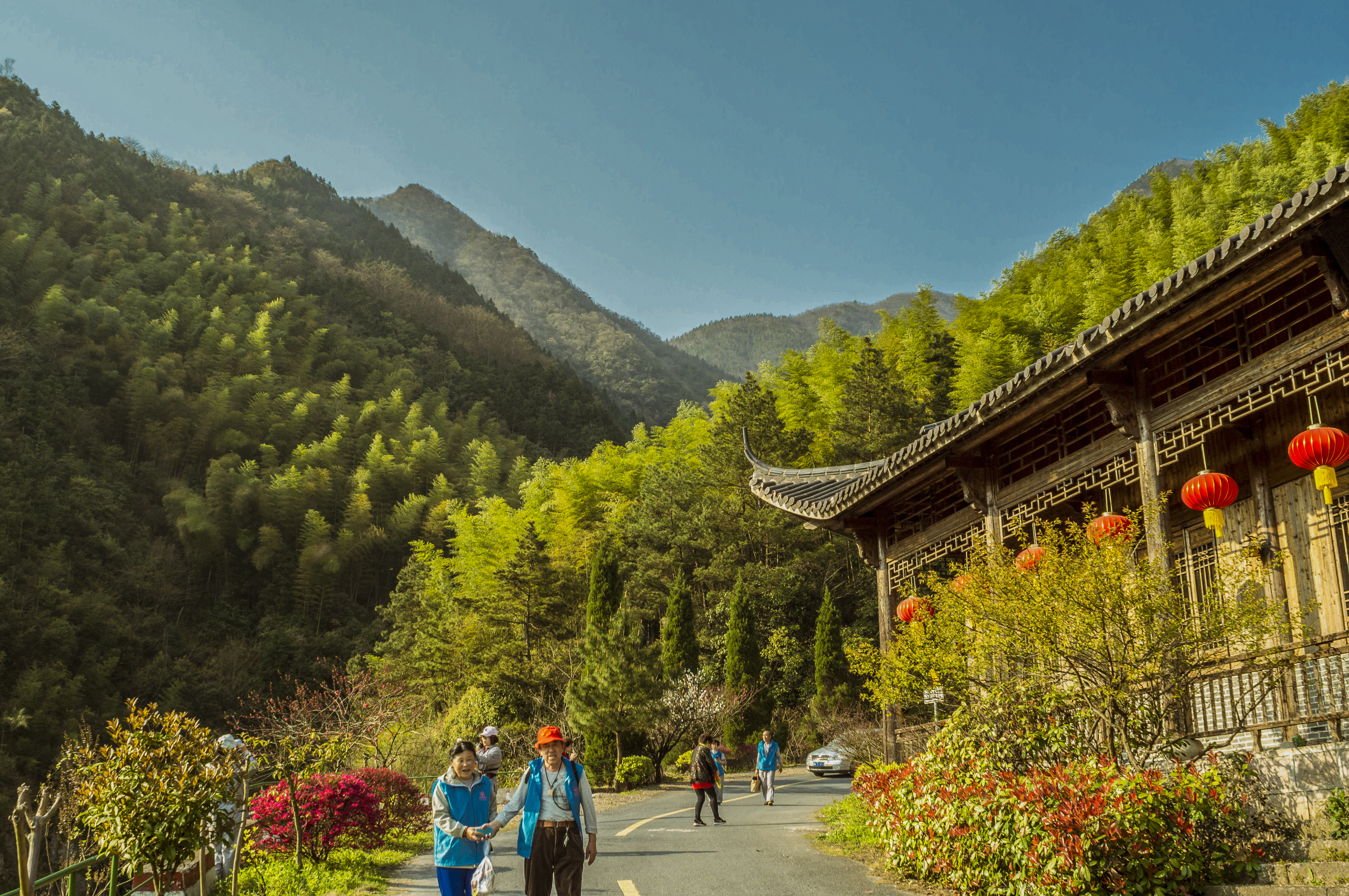 清明游临安东天目山