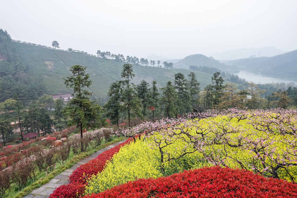 周末自驾湖州城山沟,看满山桃花,品农家美味