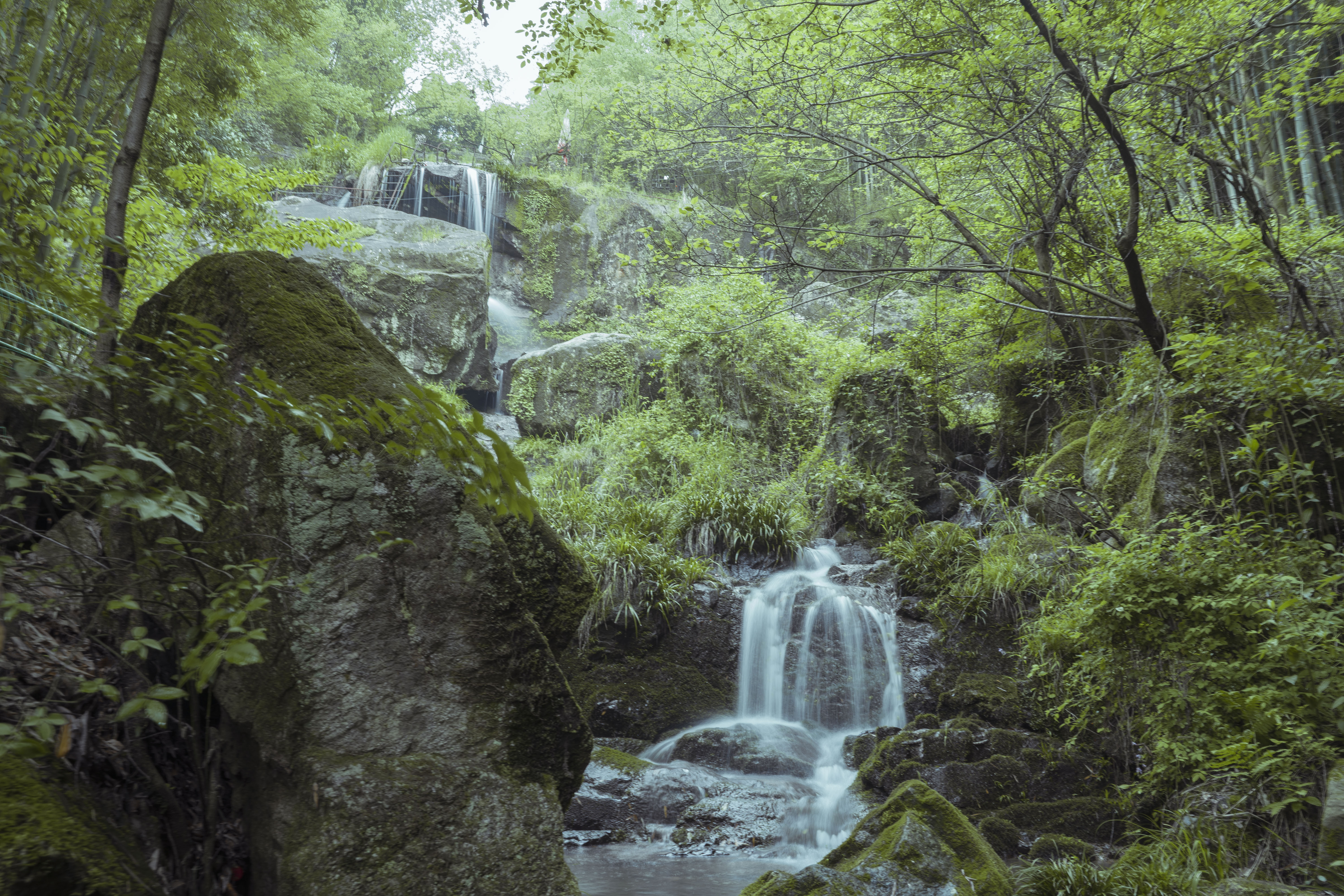 千年禅院,乡野鸡鸣,绿水青山—尽在大径山