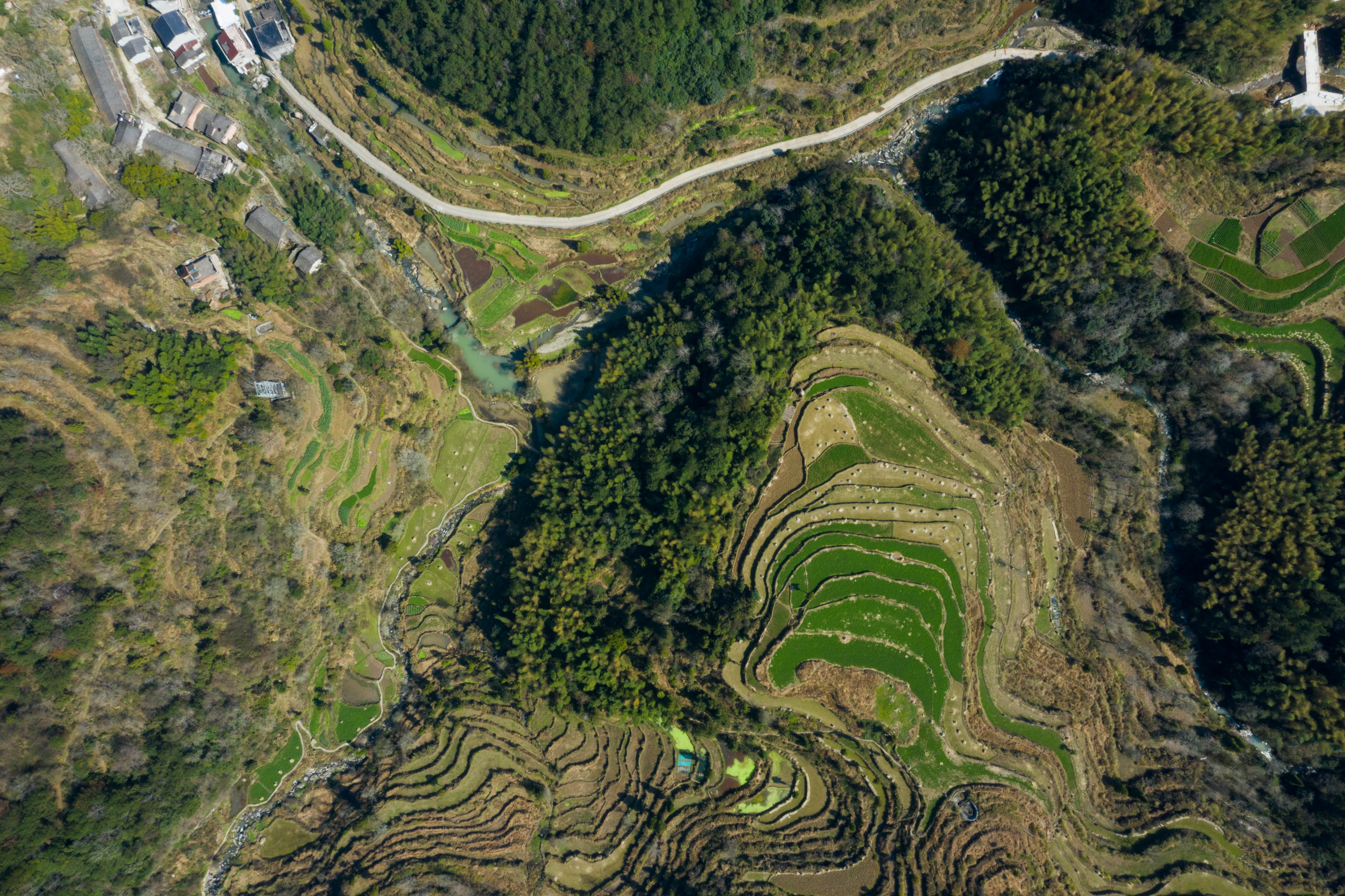 永嘉茗岙5号梯田郑山村