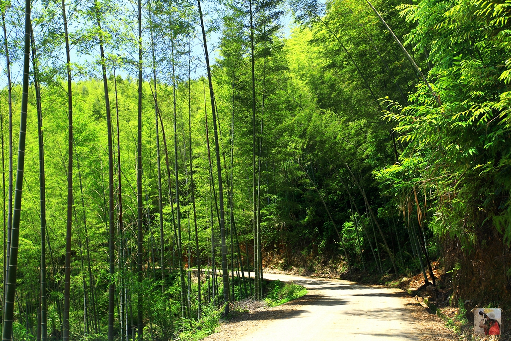 (首发)厦门周边游|味觉与视觉的旅行 沙县小吃和尤溪联合梯田