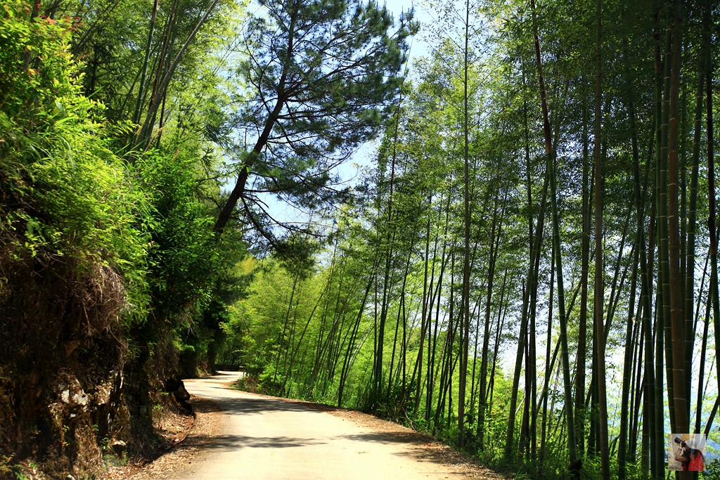 (首发)厦门周边游|味觉与视觉的旅行 沙县小吃和尤溪联合梯田