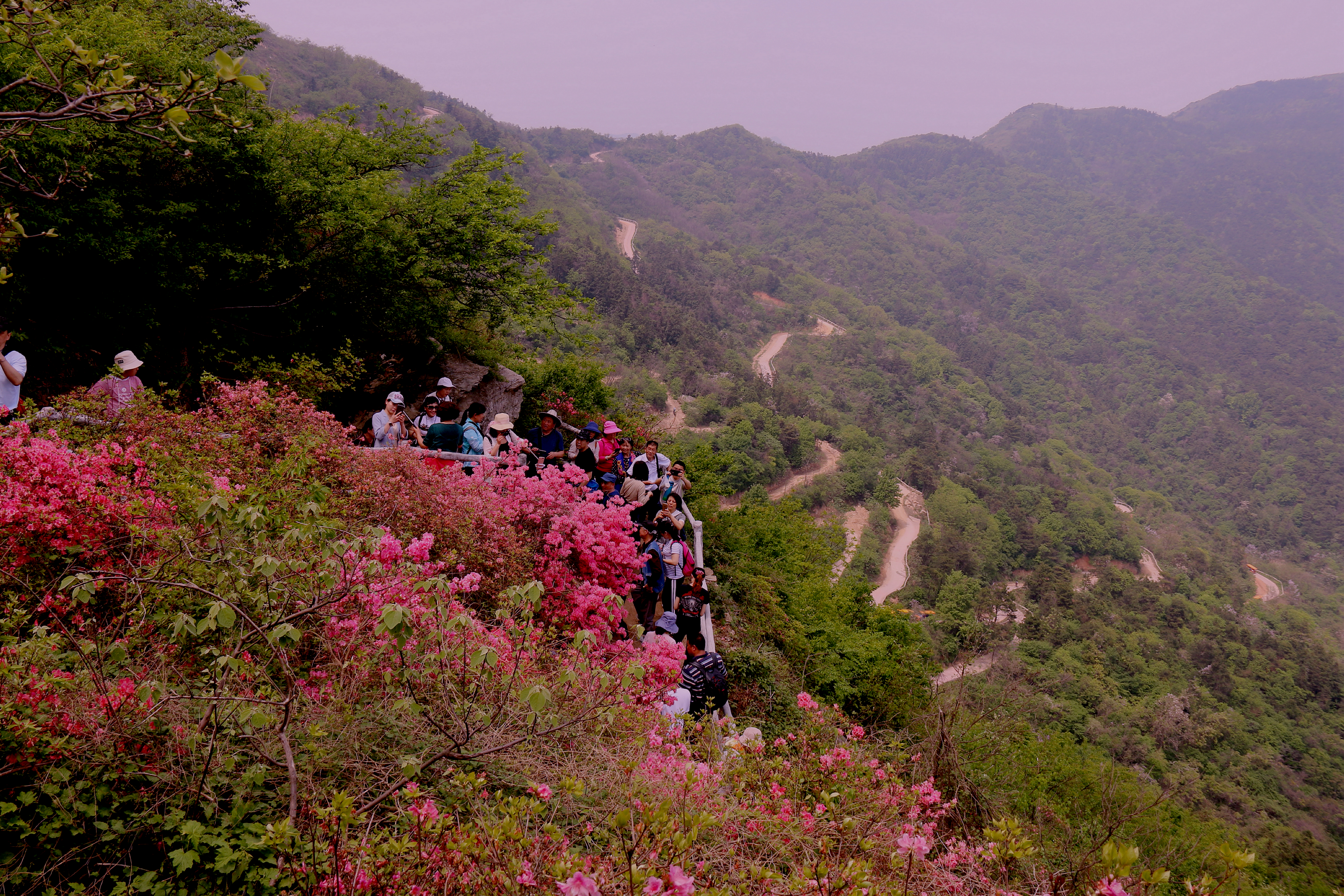 花在云中开,人在画中游--黄陂云雾山一日游_武汉游记