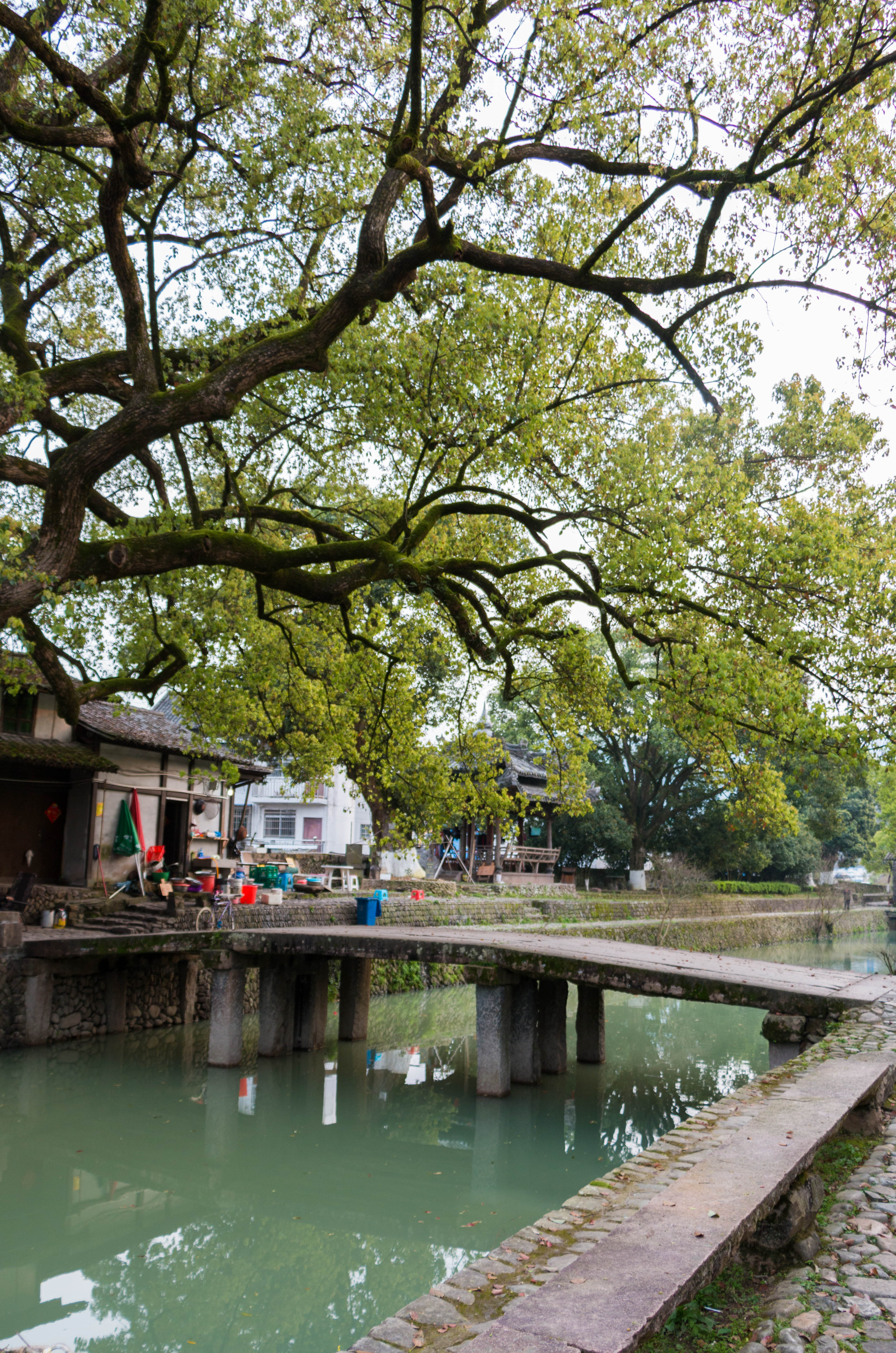 温州永嘉丽水街古村1日游