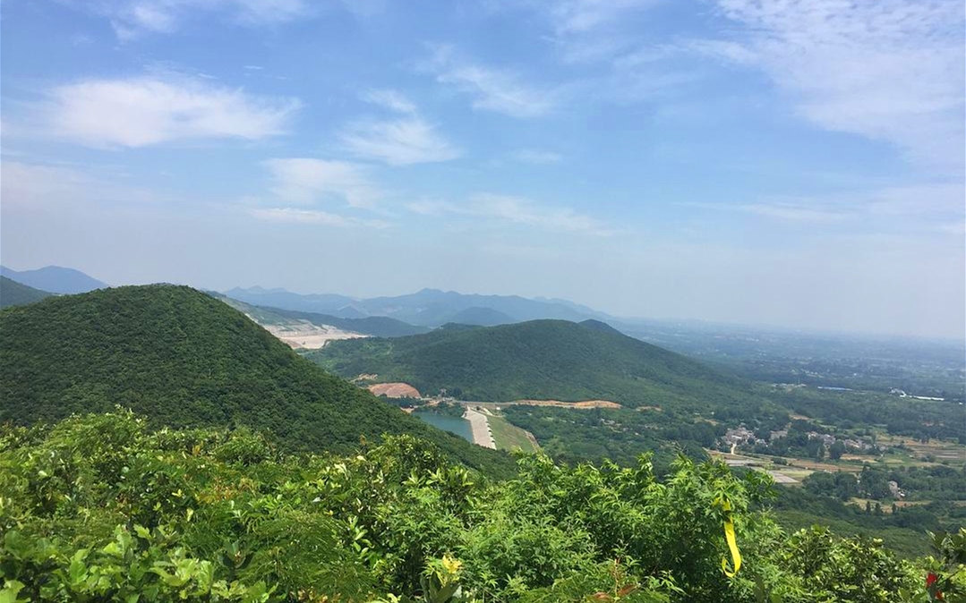 身处南京,在九连尖便能看到这高山草甸,实在不容错过!