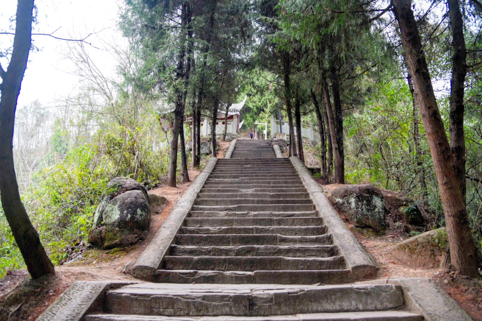花香四溢的佛头山