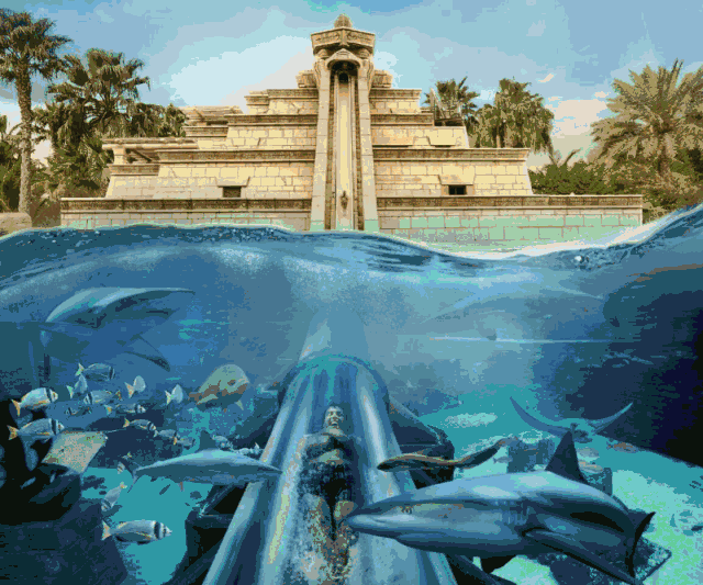 网上动图红树林度假酒店号称