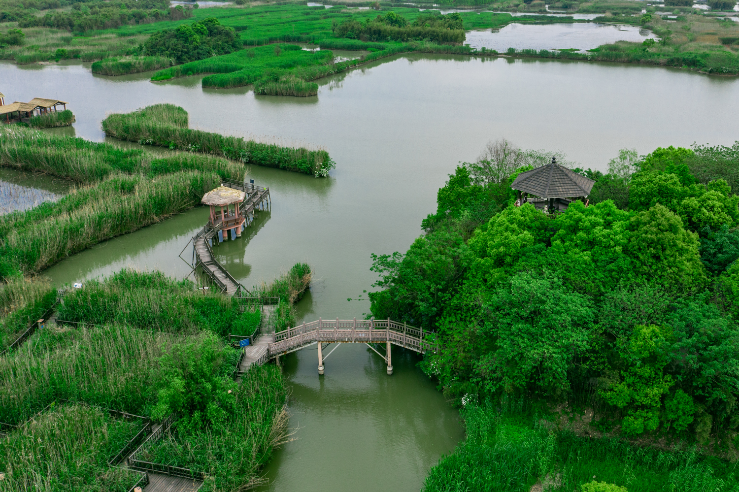 杭州周边游|中国最美湿地下渚湖