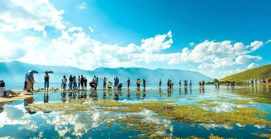 走遍云南各地,带你看最美的风景(邂逅丽江,大理,香格里拉)