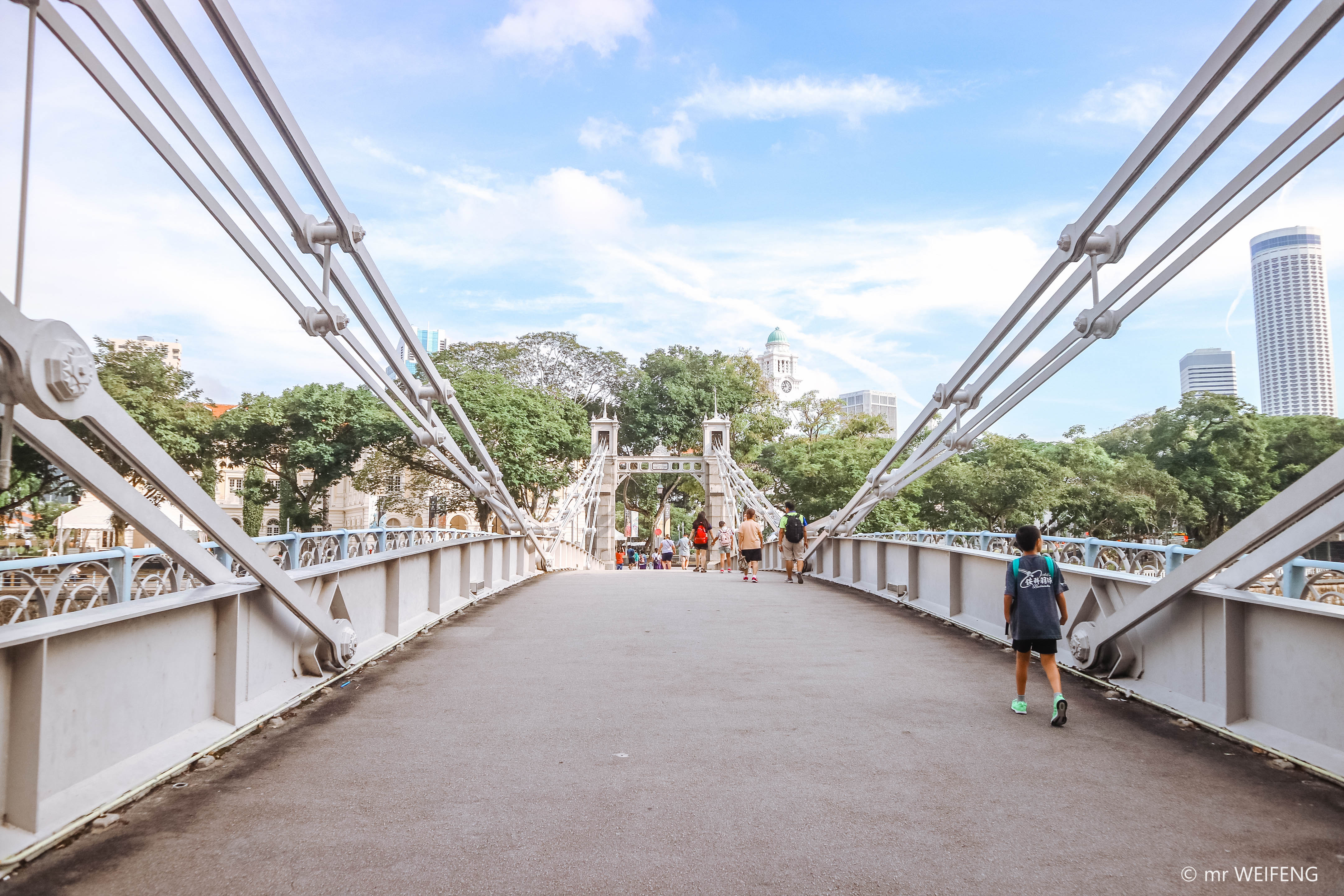         加文纳桥cavenagh bridge