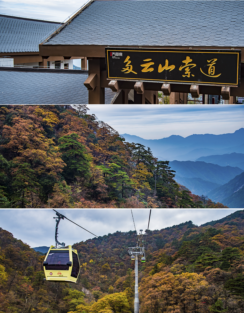 抓住秋日的限定阳光在大别山深处和六安的红撞个满怀