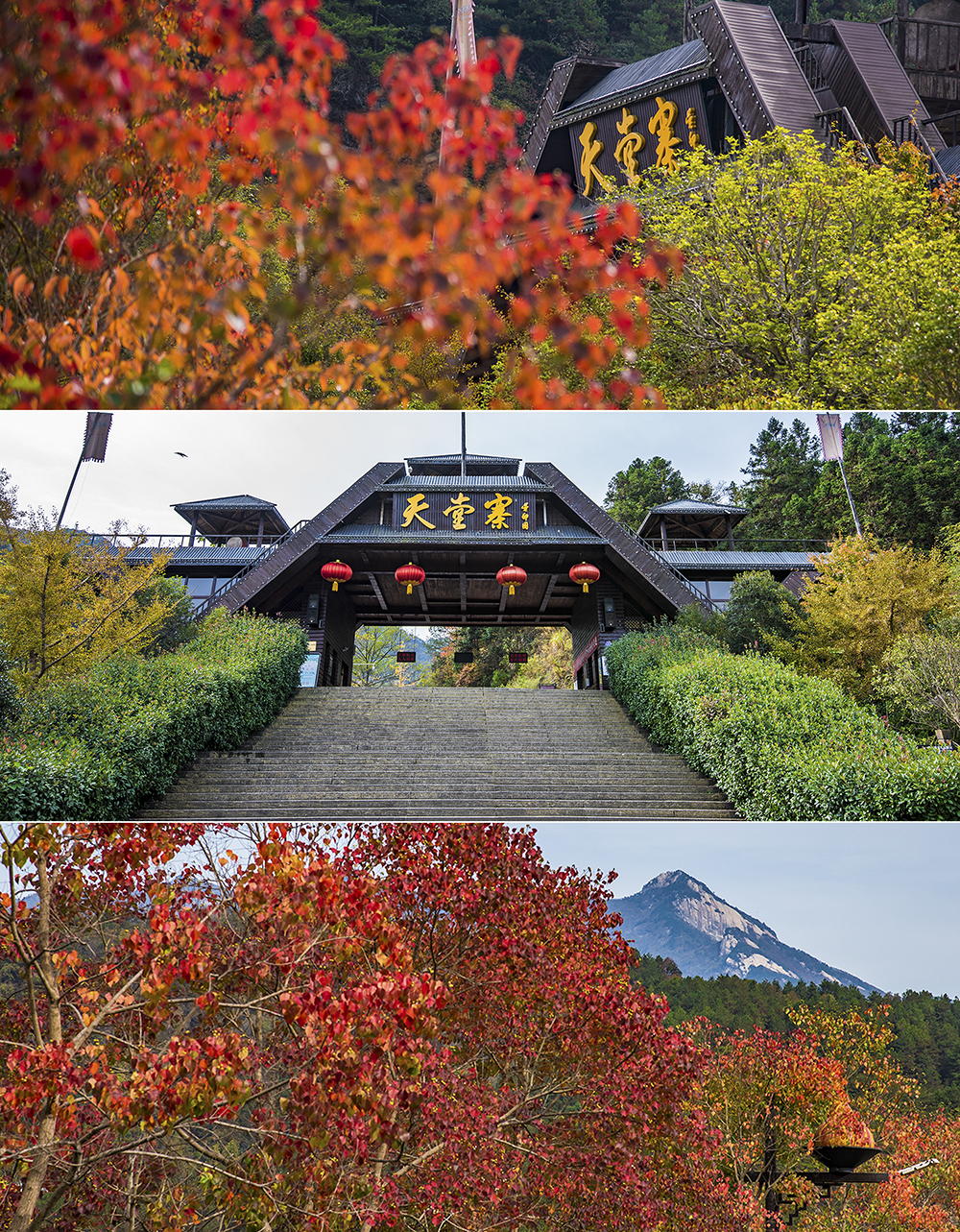 抓住秋日的限定阳光在大别山深处和六安的红撞个满怀