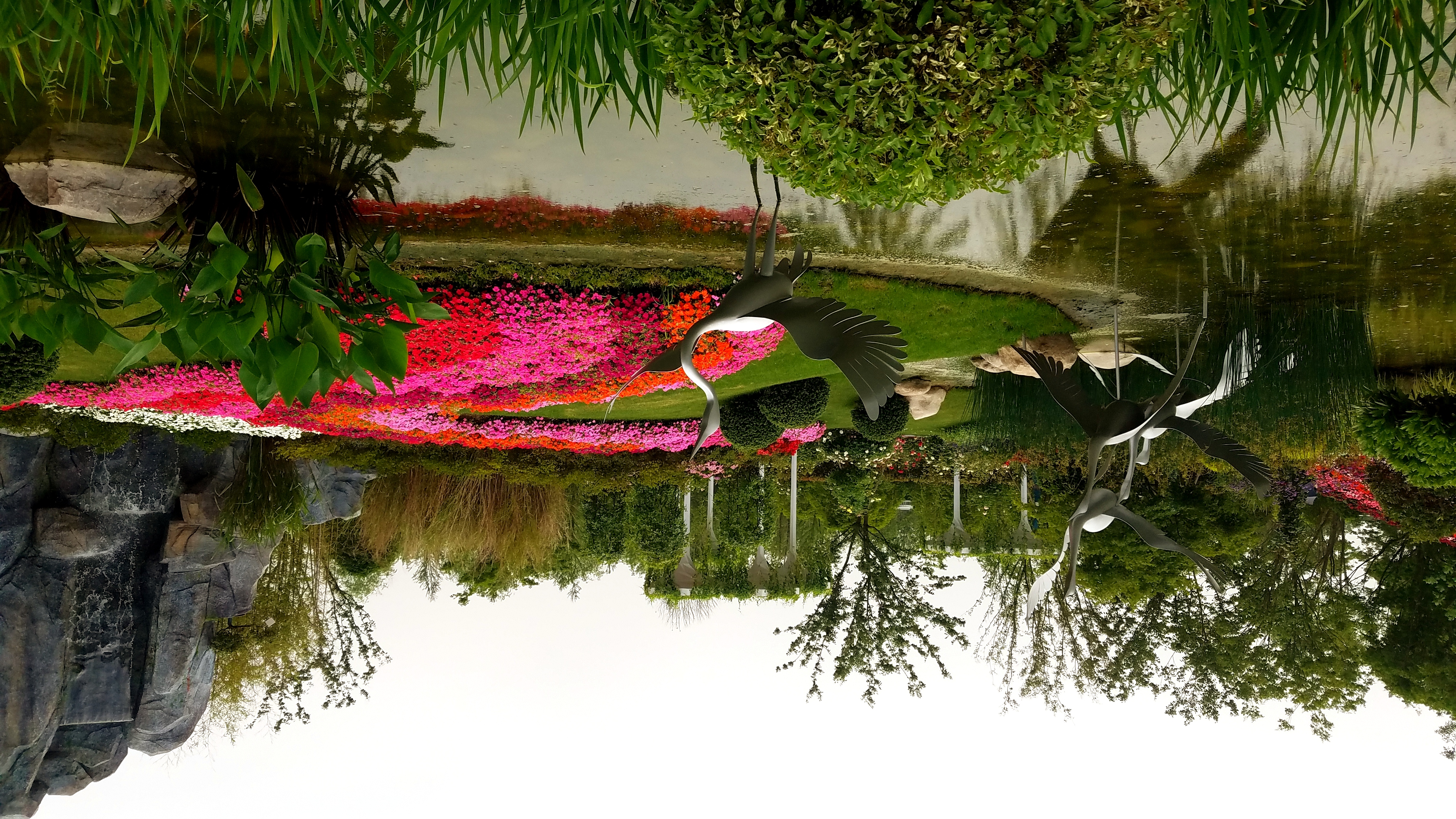 去崇明观花博_上海游记_途牛