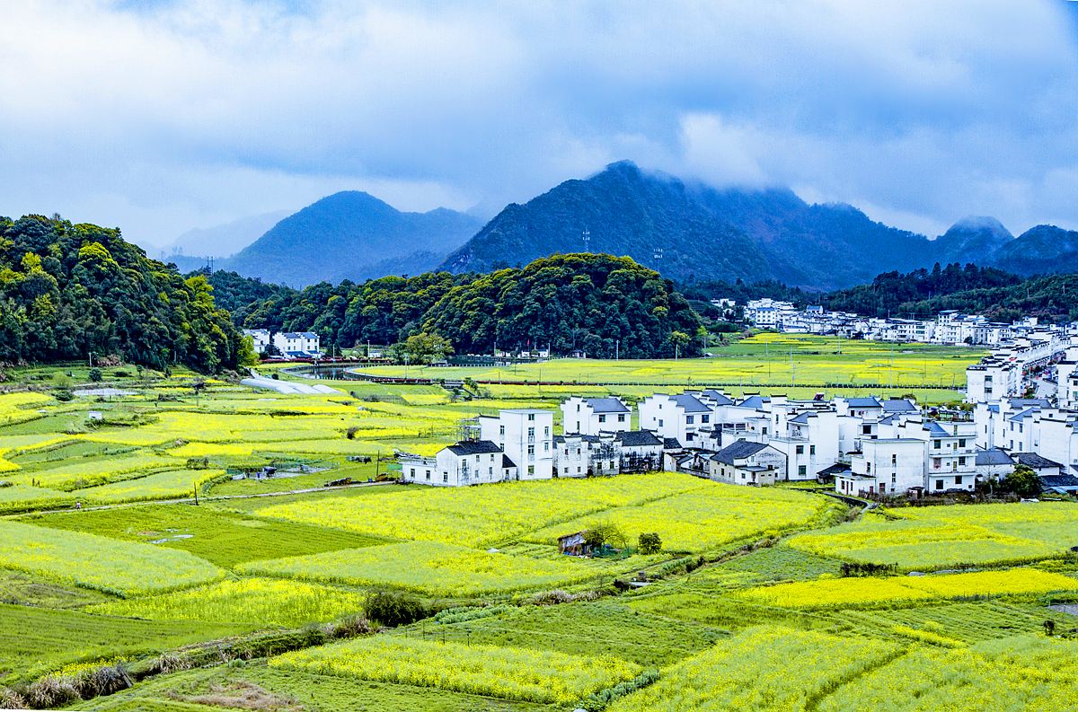 婺源油菜花季且赋春光最美乡村慢旅行