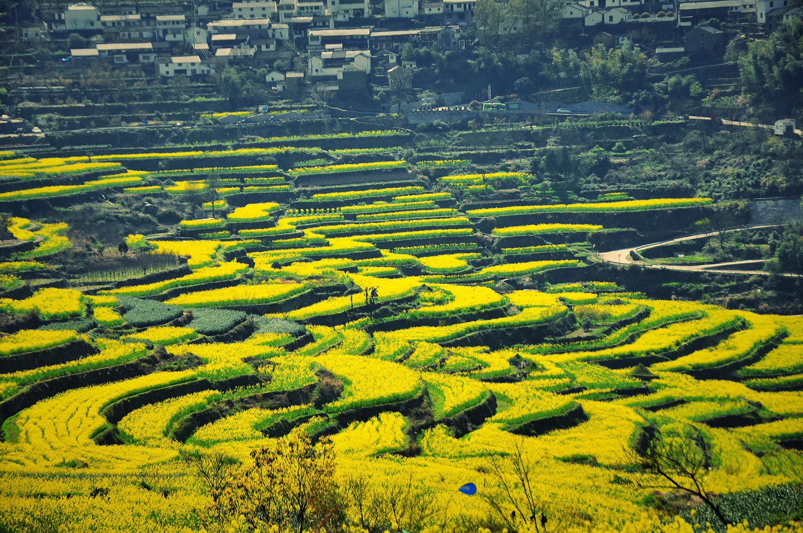 嵊州覆卮山度假村旅图_途牛