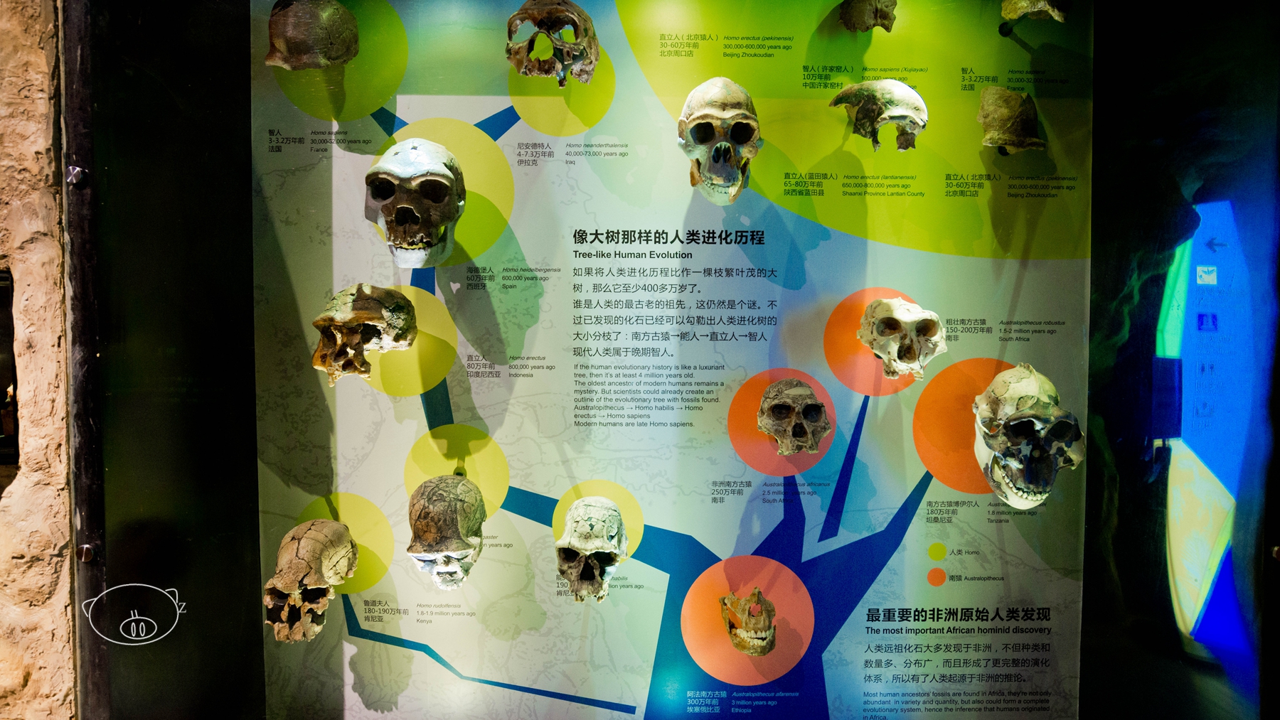 广州|鼠年到正佳,博物馆里,寻花之旅