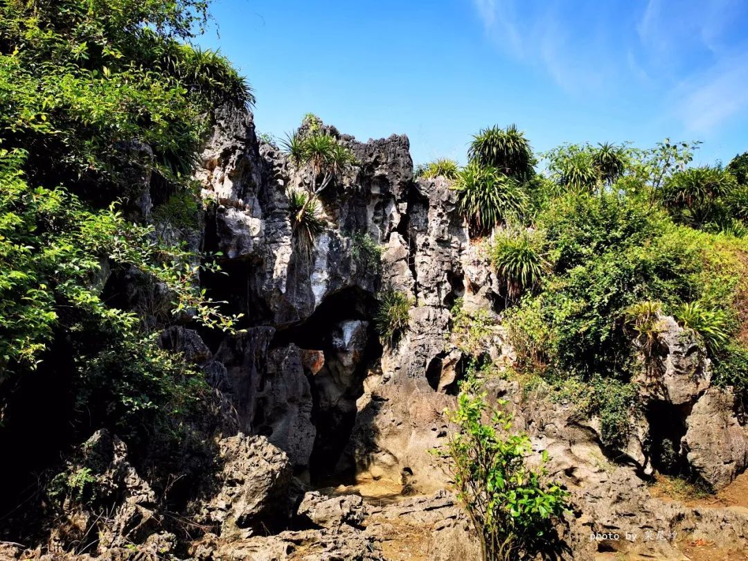 石景林景区石景林景区宁明 明江下午到了崇左另一知名旅游胜地,宁明