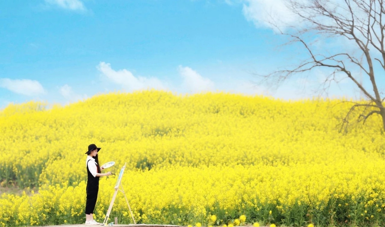 3月13日情报:婺源江岭油菜花已绽放, 本周末多云转阴天气