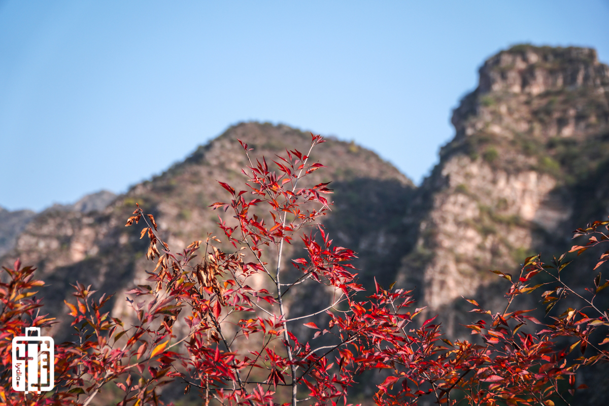 赏红叶游仙西山,住陌上花开十渡人家,最美的风景在路上