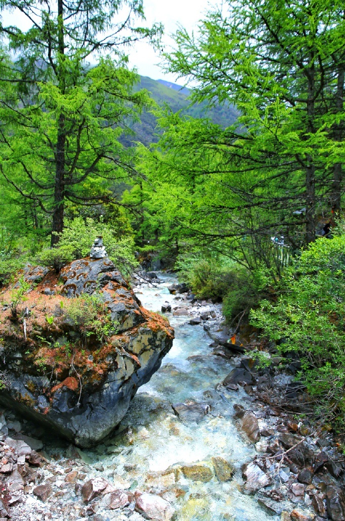 处于日瓦与蒙自之间的蒙自大峡谷,山崖间