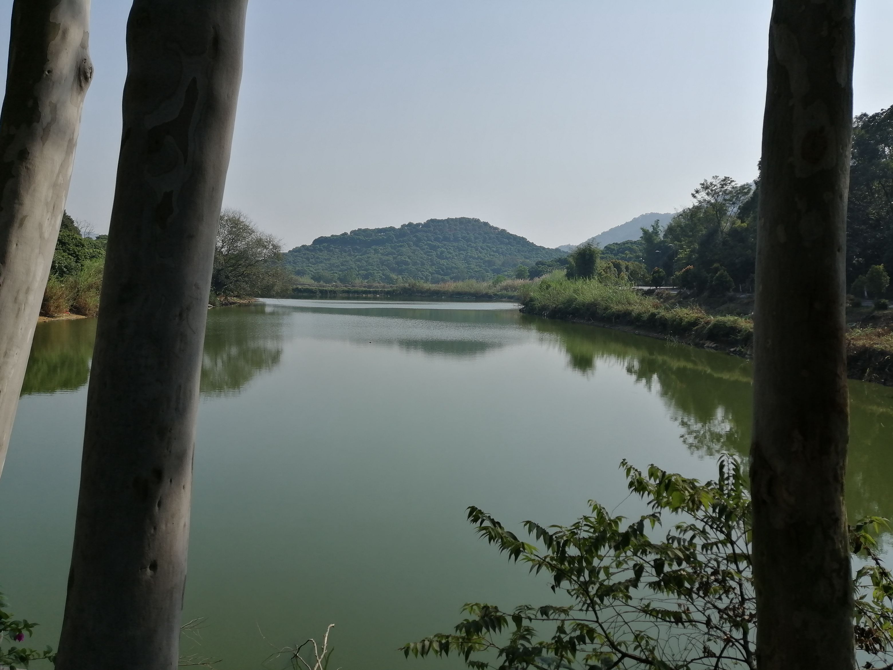 冬游同沙生态公园