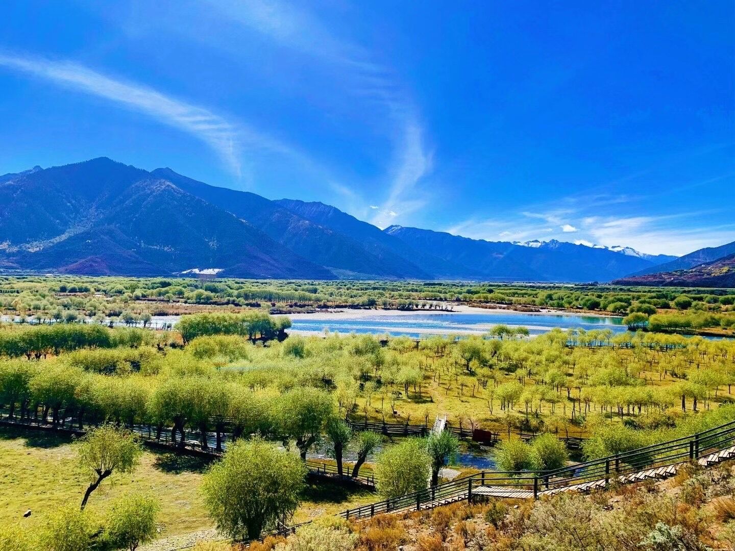 雅尼湿地景区