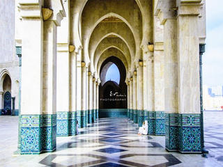 哈桑二世清真寺 景点模块