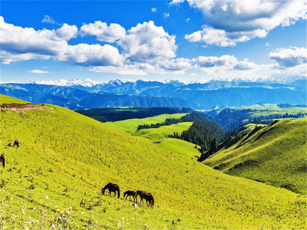  新疆南山牧场汽车往返1日游>南山牧场西白杨沟风景区乌拉斯台空中