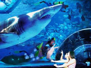 香港海洋公园 景点模块