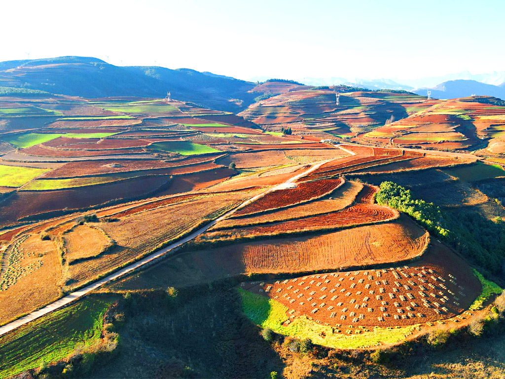  昆明 东川红土地-元阳梯田-普者黑-碧色寨-抚仙湖-建水古城双飞8日游