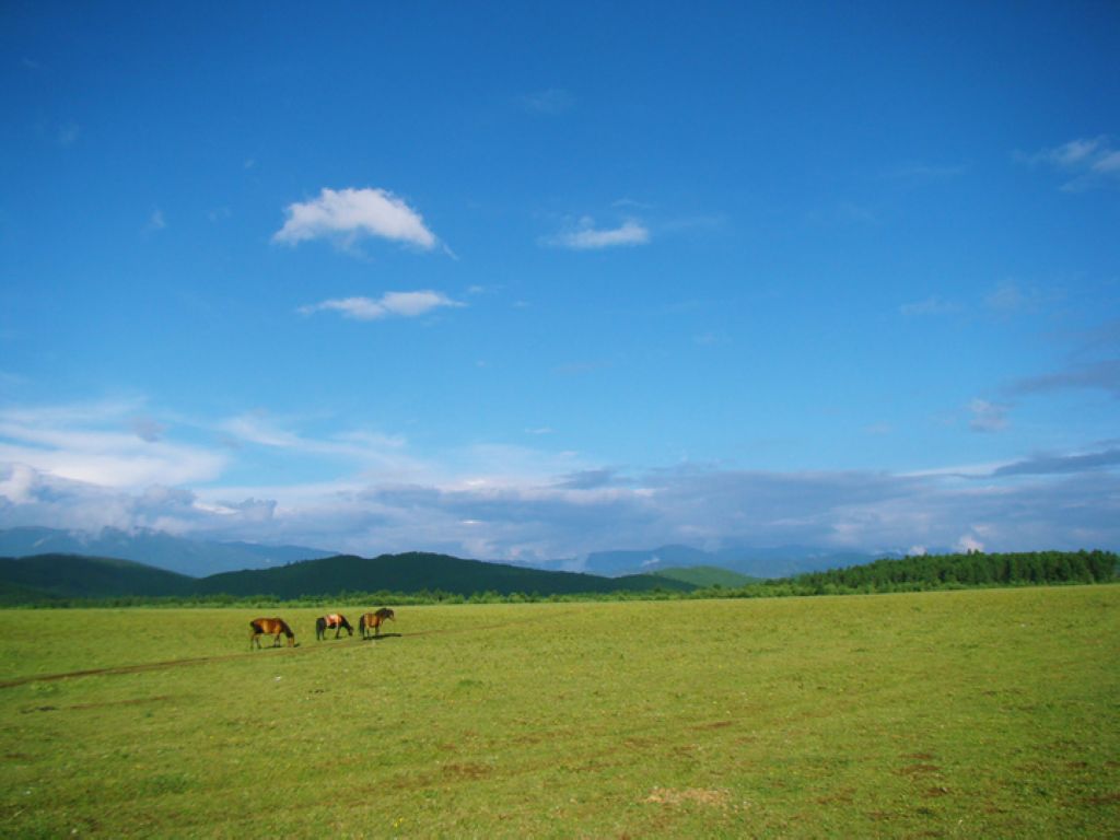 景点模块 