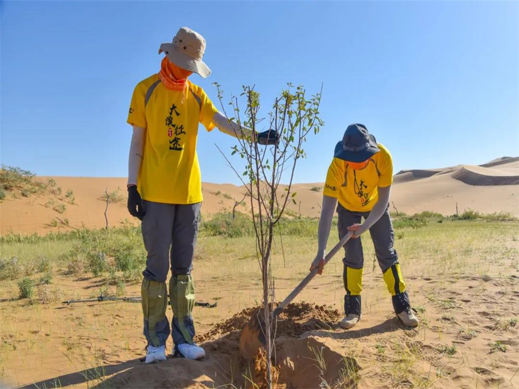 [国庆] 拯救腾格里沙漠5日游游>植树/星空露营/羊肉宴/烟花篝火