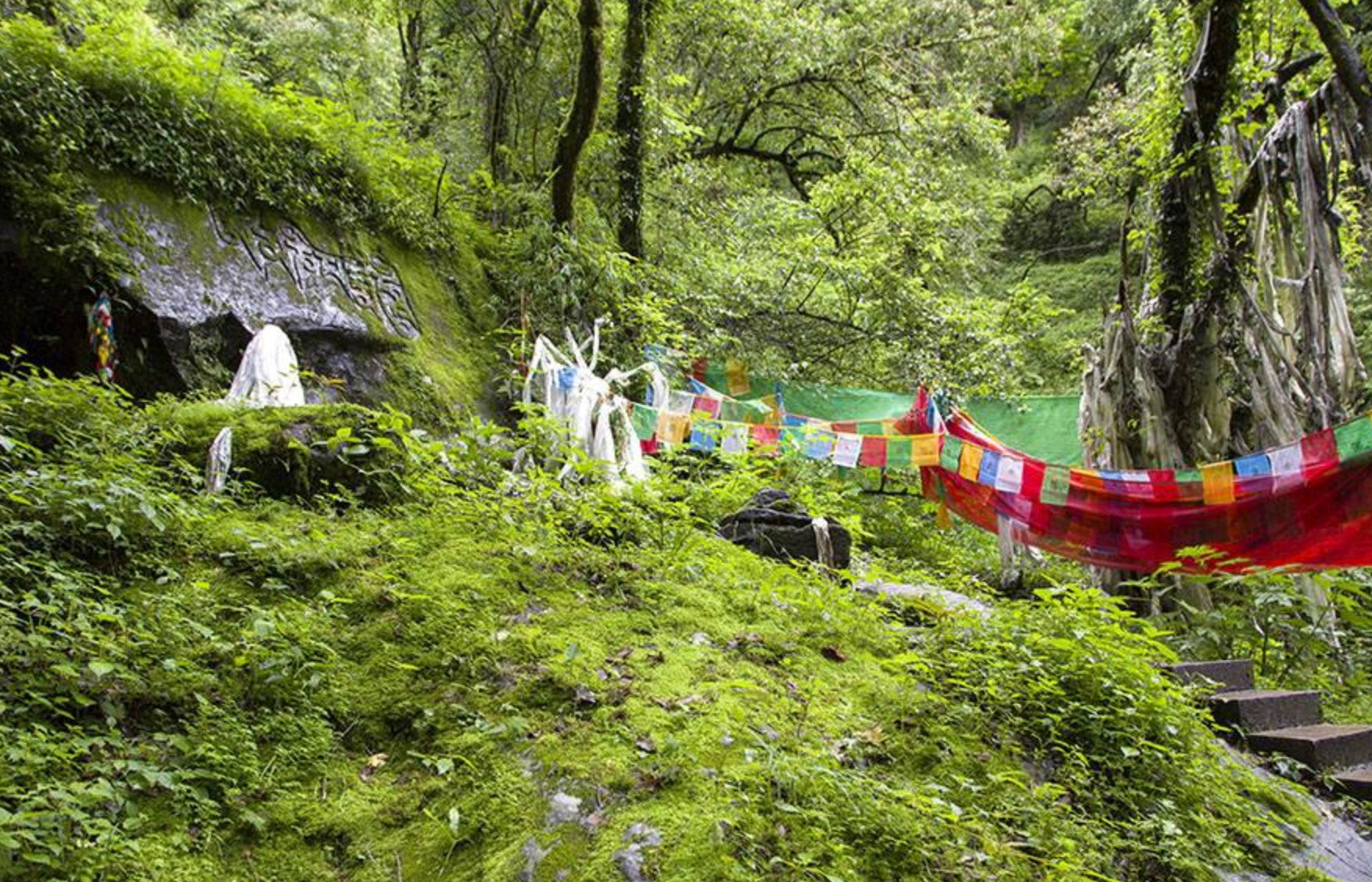 西藏山南-泽当-错那-勒布沟-野狼谷-沙棘林3日游>纯玩商务小团,不走