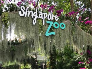 新加坡动物园 活动模块