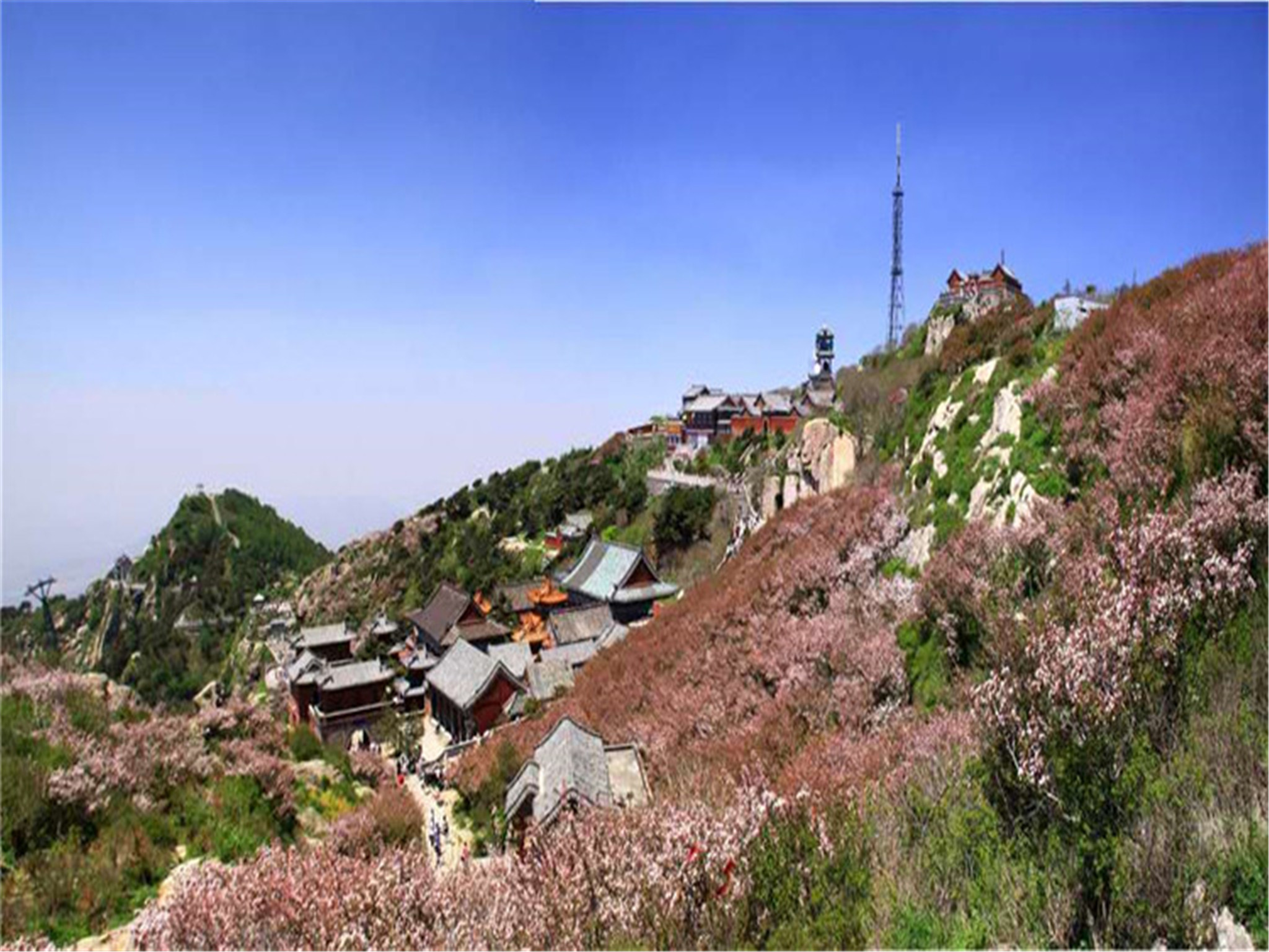 泰山山顶