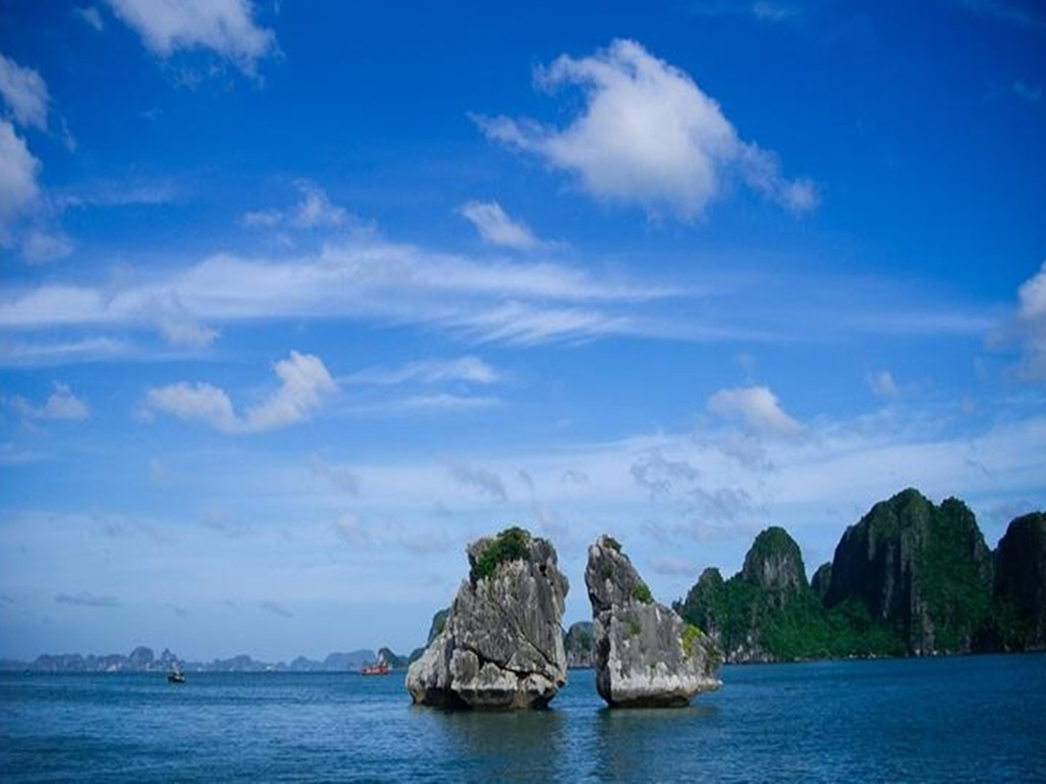 活动模块 
