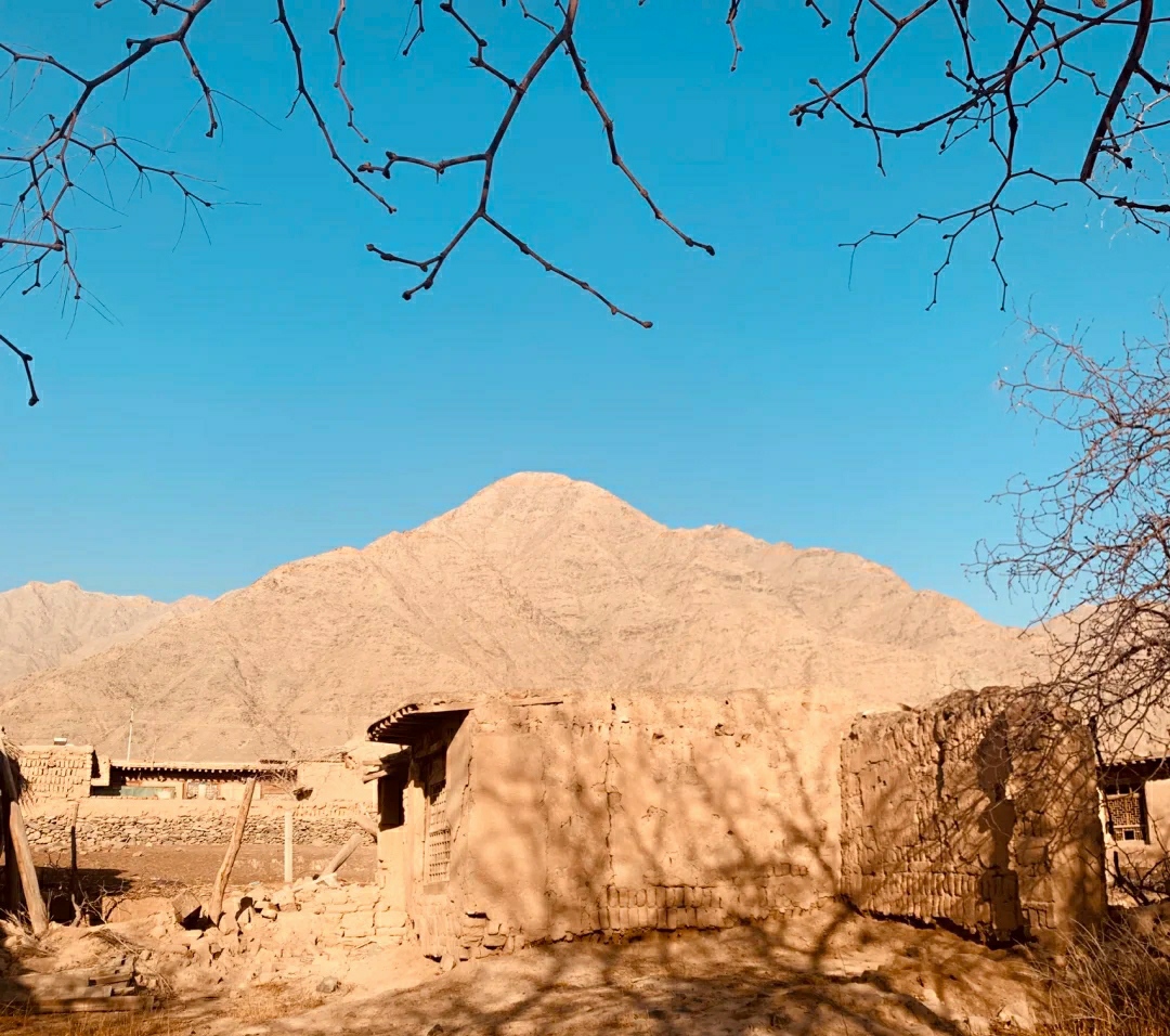  宁夏 沙坡头 闽宁镇 五七干校 稻鱼空间双飞6日游>双孢菇基地 扶贫