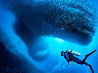 美娜多潜水 景点模块