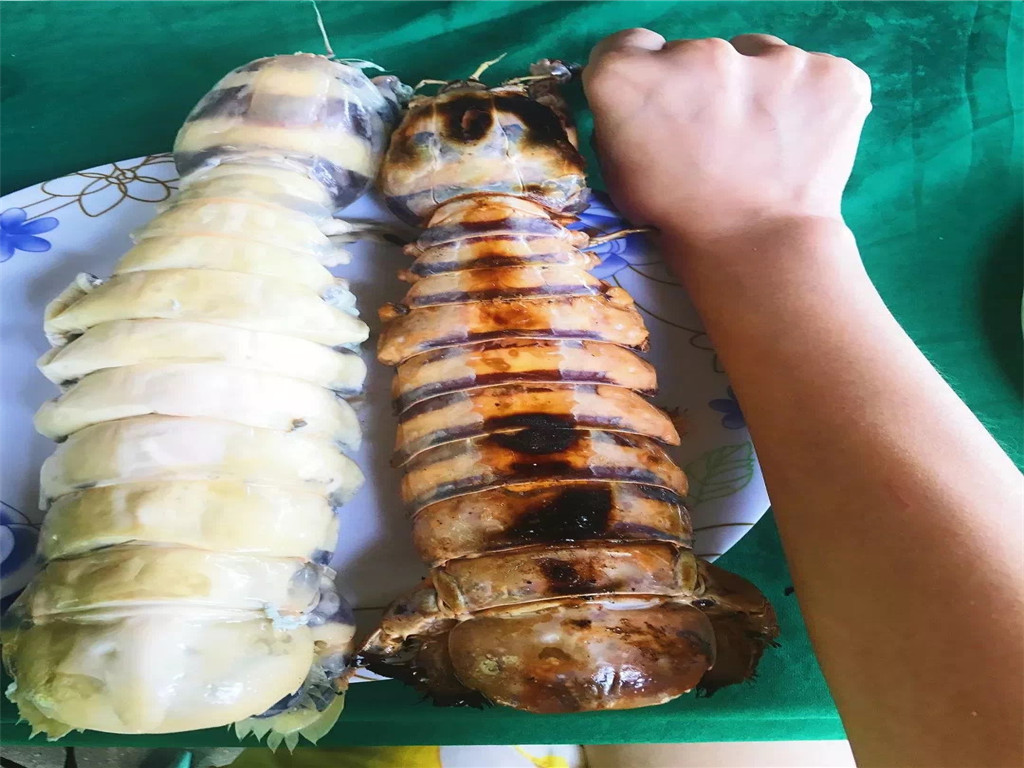 活动模块 