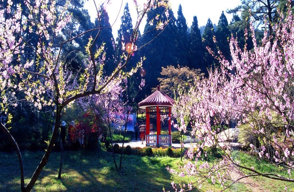 景点模块 