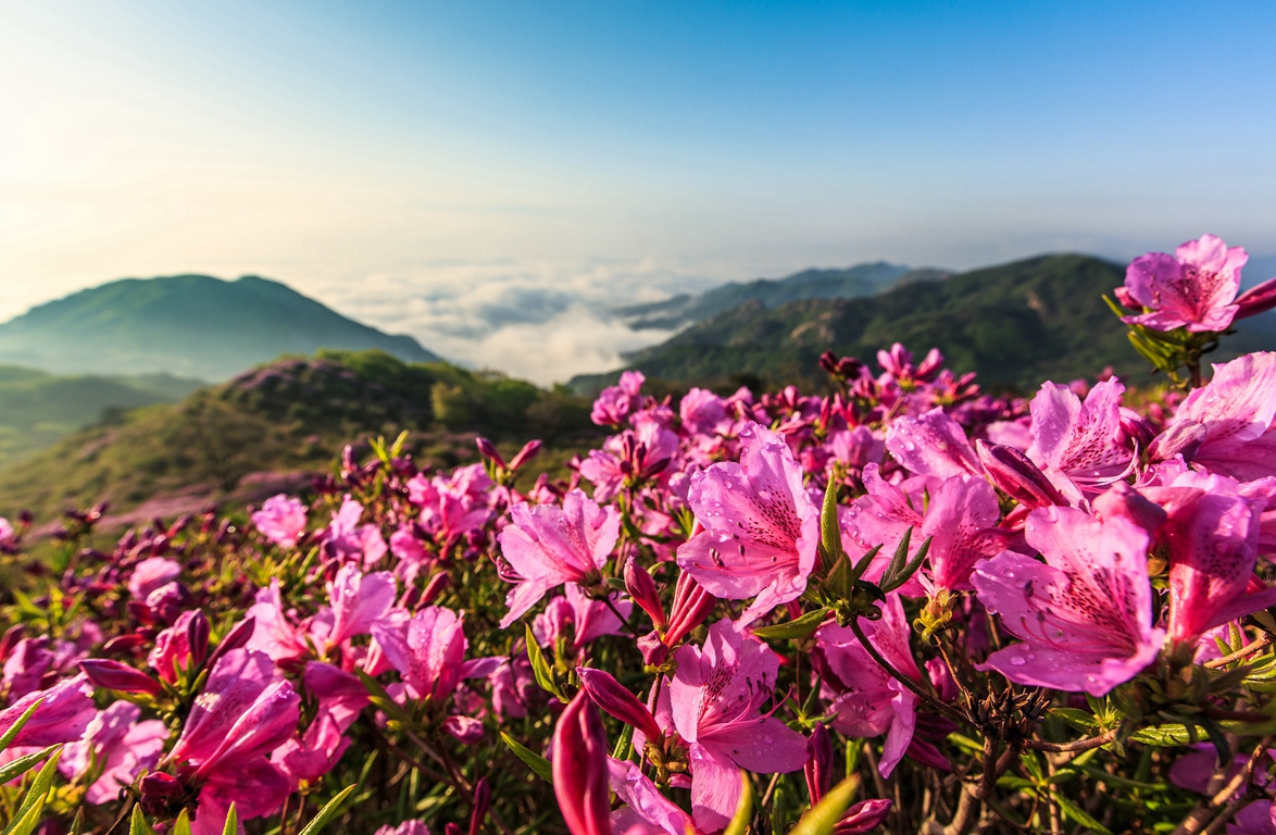 景点模块 