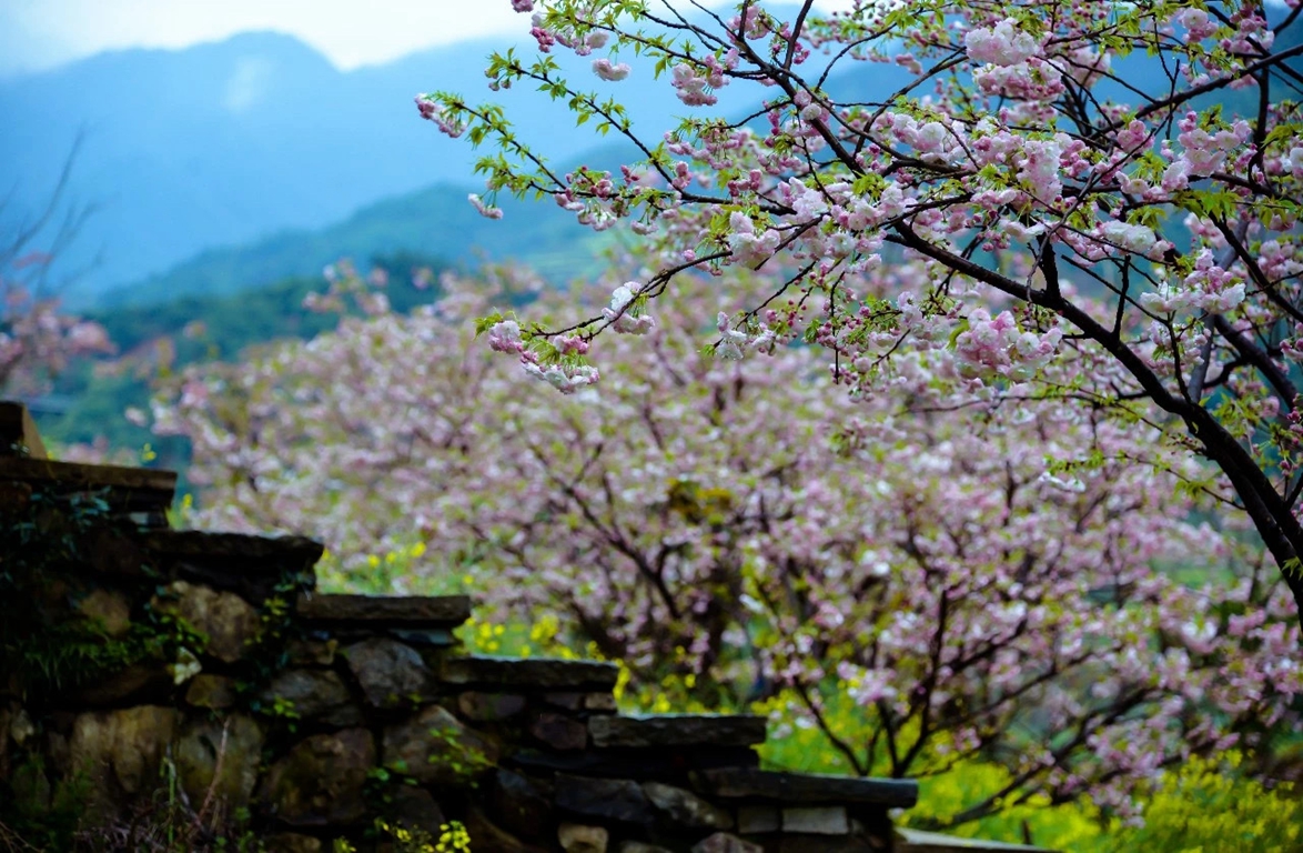 景点模块 