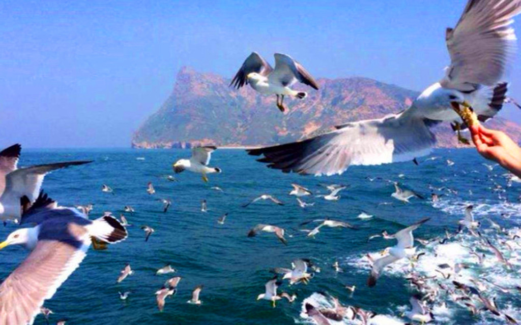 景点模块 