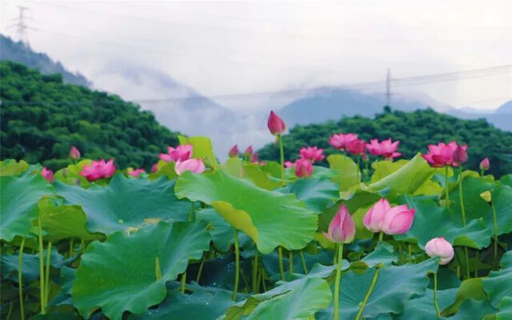 景点模块 