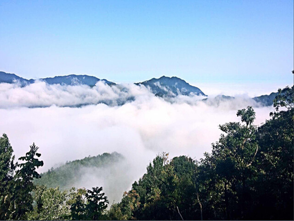 景点模块 