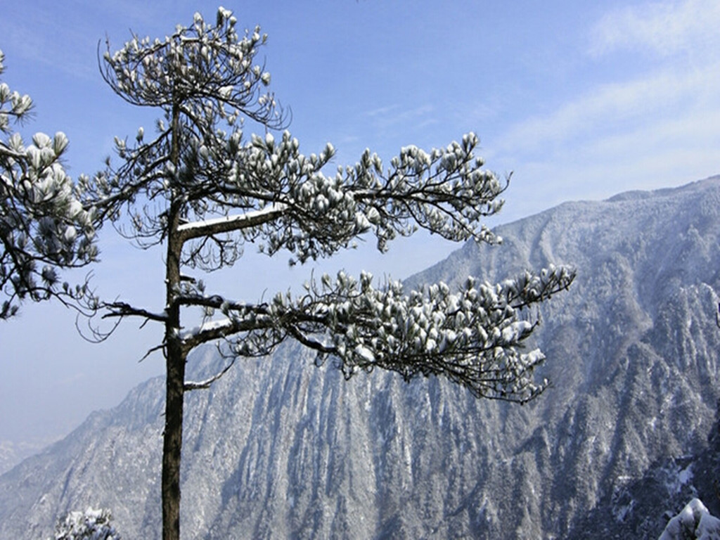 景点模块 